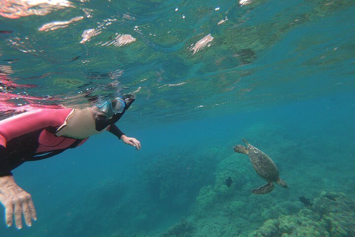 Hanauma Bay Guided Snorkeling Tour  - Photo 1 of 13